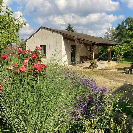 Le Bois Neuf Villa Savigny-Sur-Braye Exterior photo